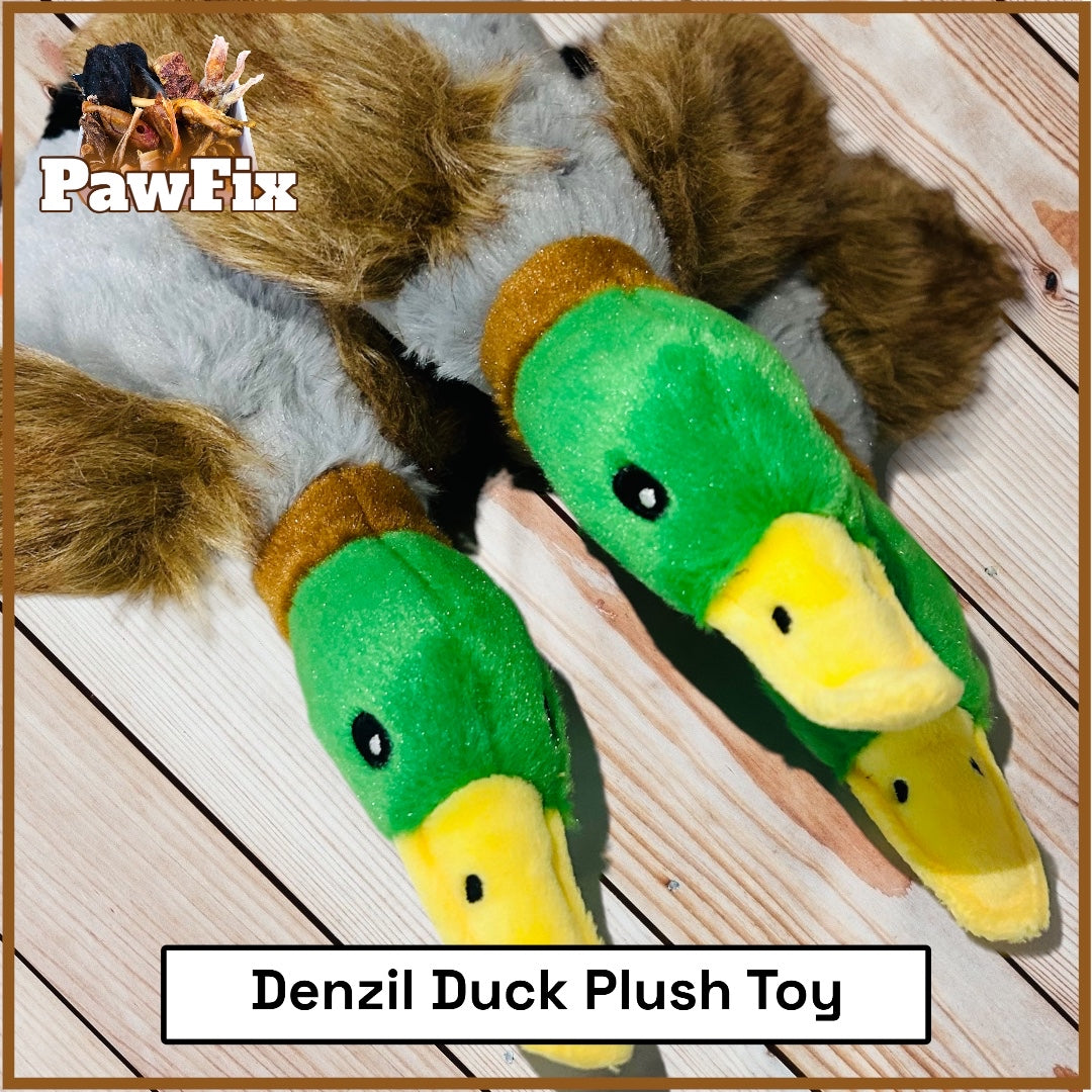 Denzil Duck Plush Toy