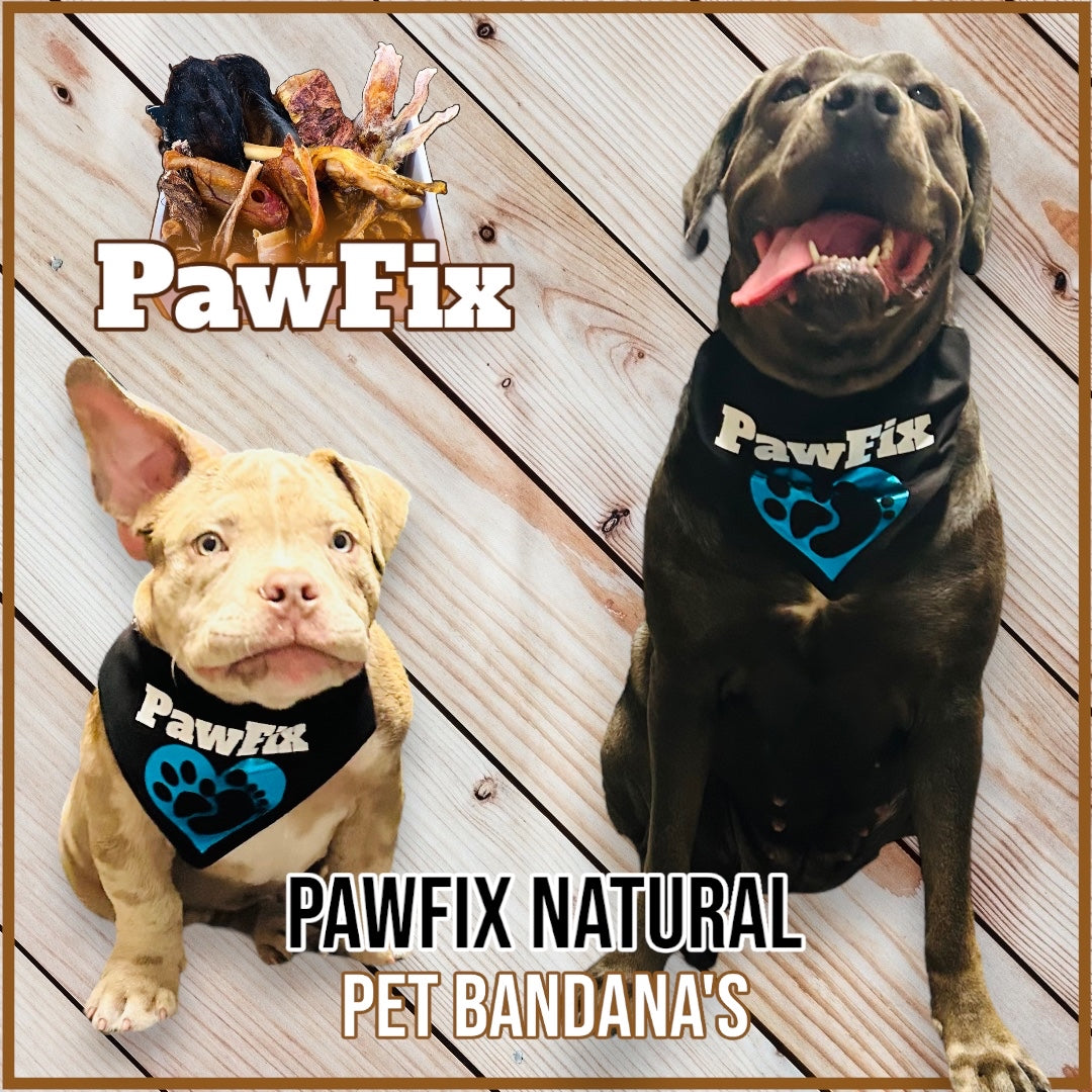 PawFix Natural Pet Bandanas