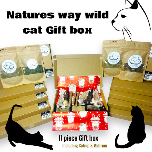 Natures way wild Cat Gift Box & Crazy Cat Selection