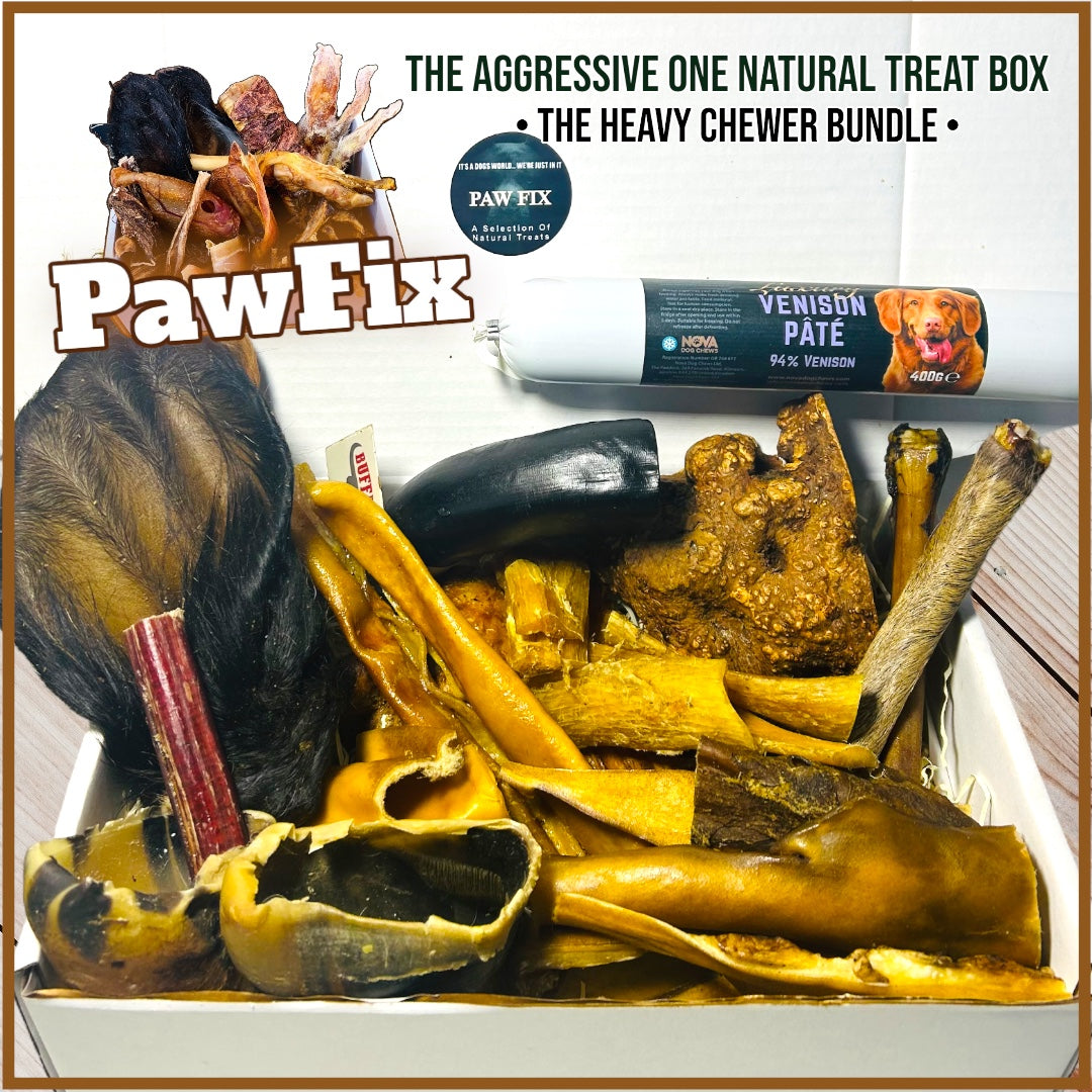 Heavy chewer dog box sale