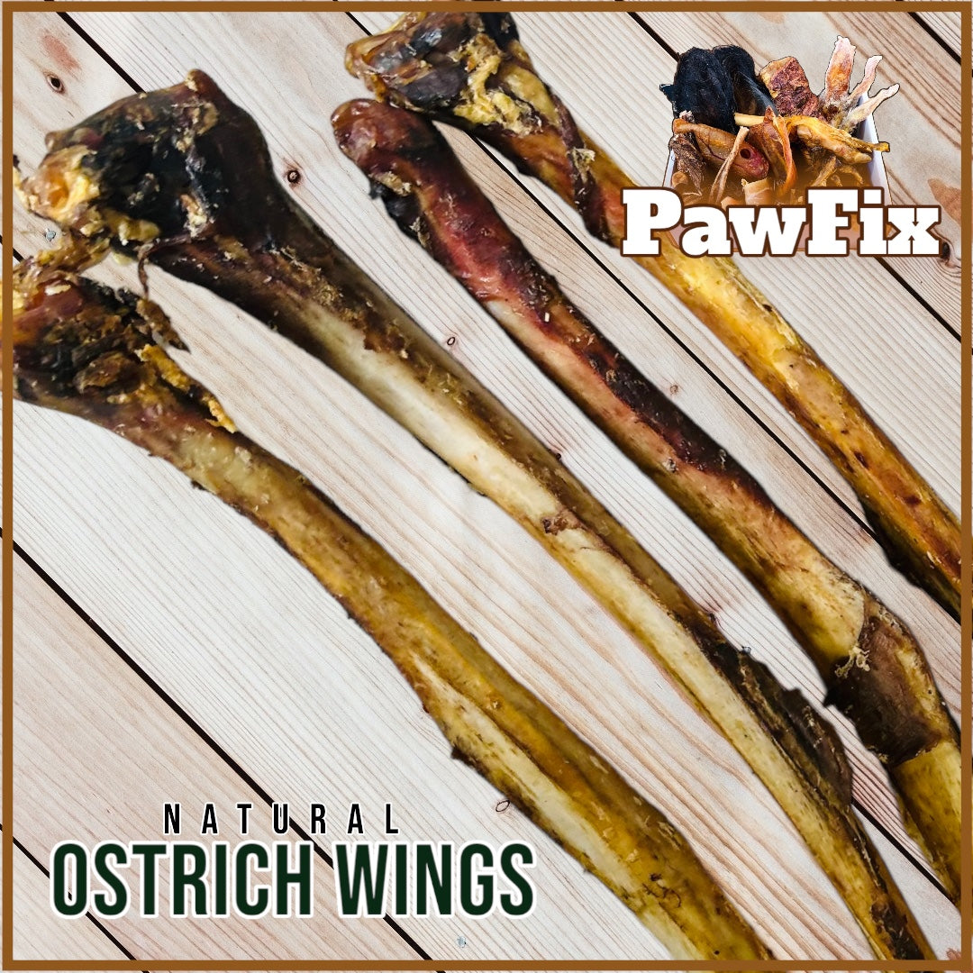 Natural : Ostrich wings