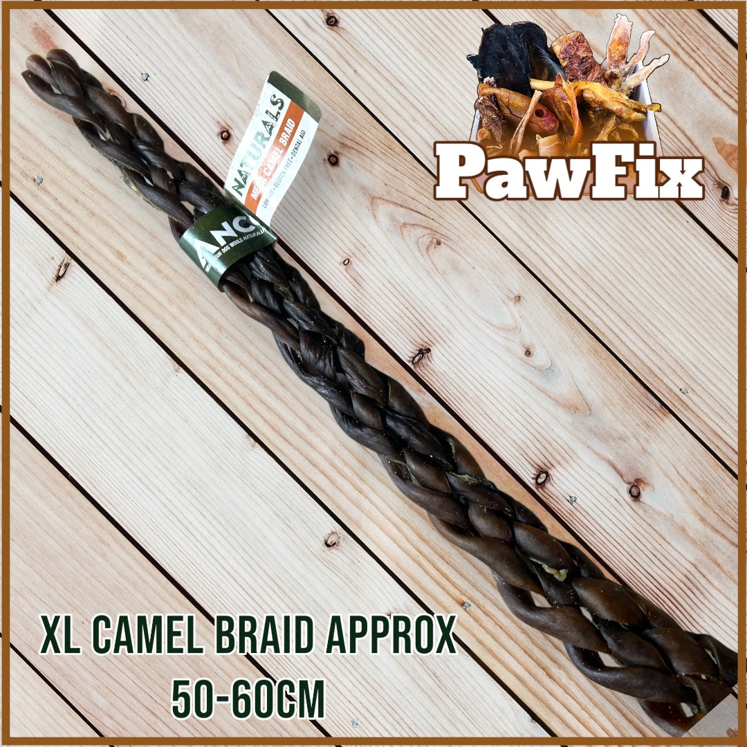 Natural : Camel braid - Dog chew