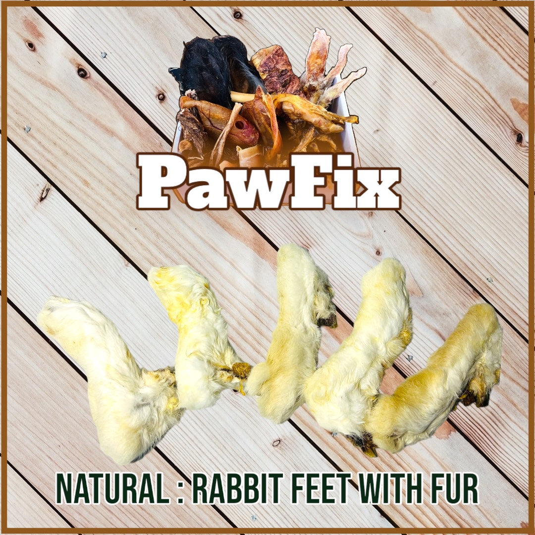 Natural : Rabbit Feet with Fur