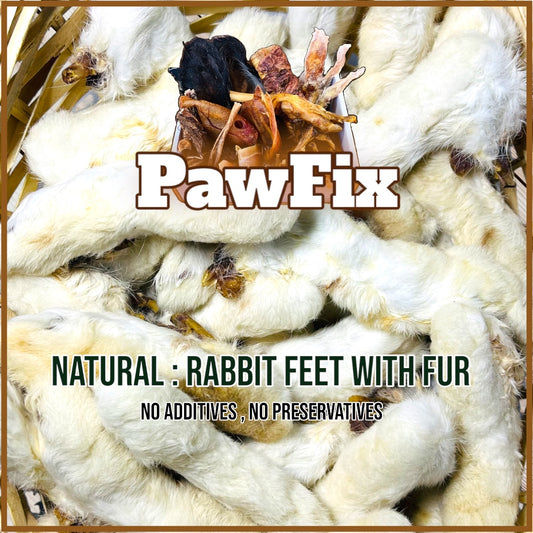 Natural : Rabbit Feet with Fur