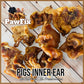 " Porky Bites " Pigs Inner Ear