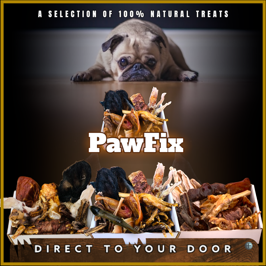 PawFix Gift Card