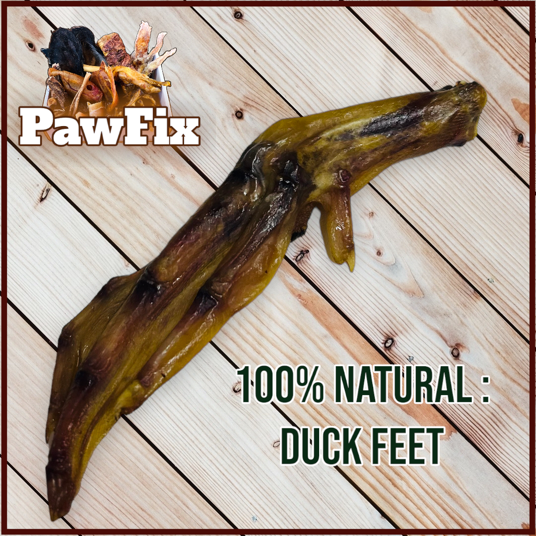 100% Natural Duck Feet