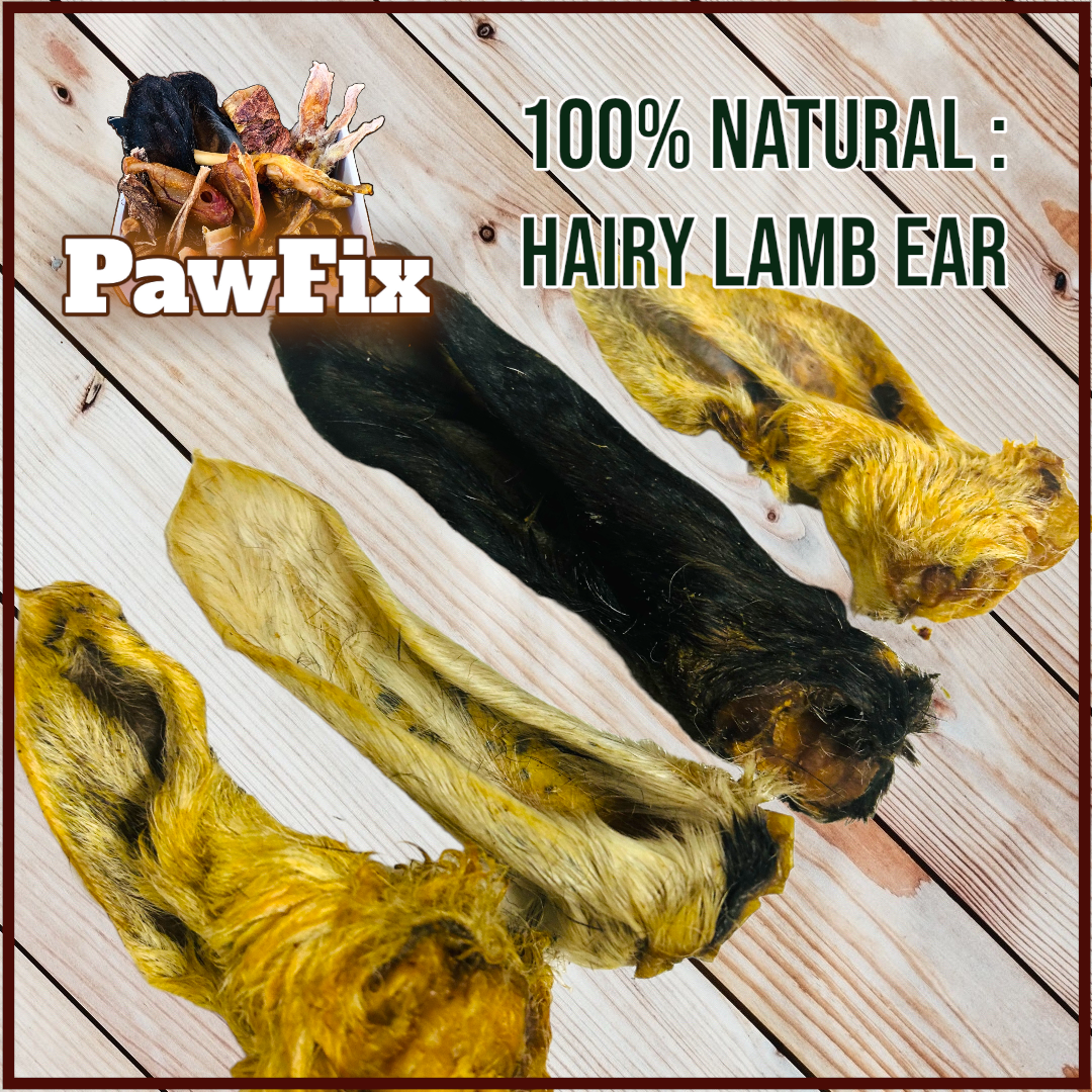 100% Natural Lamb Ear with Fur