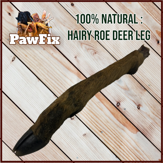 100% Natural Hairy Roe Deer Leg