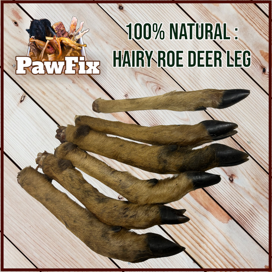 100% Natural Hairy Roe Deer Leg