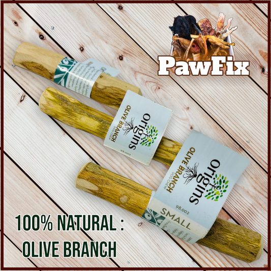 100% Natural Olive Branch - Large