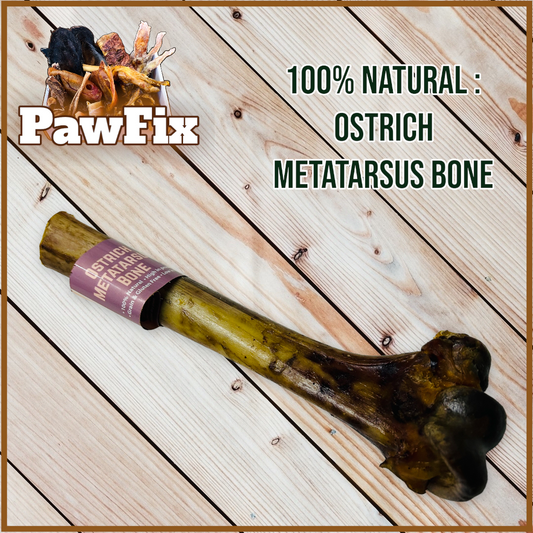 Ostrich Metatarsus Bone