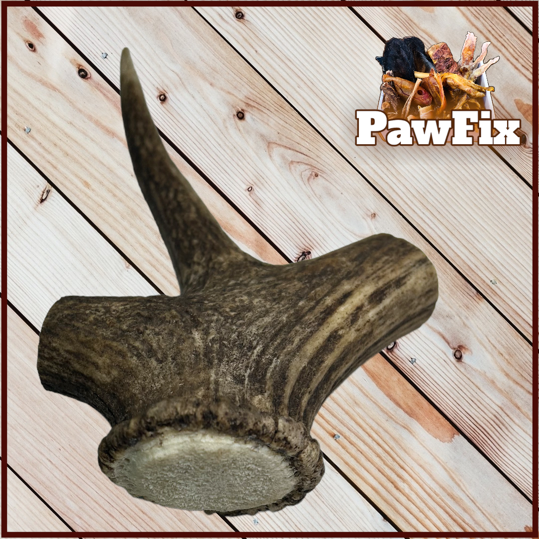 100% Natural Deer Antler Chew