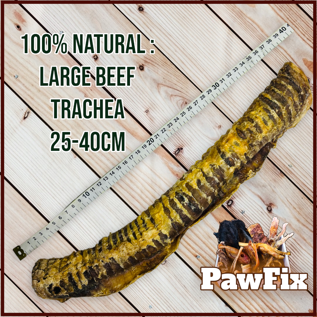 100% Natural Beef Trachea pieces