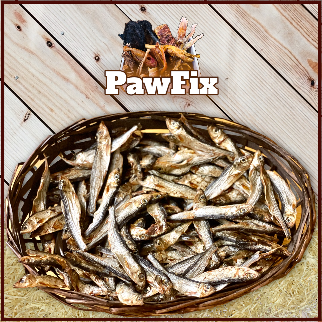 Can dogs 2024 eat raw sprats