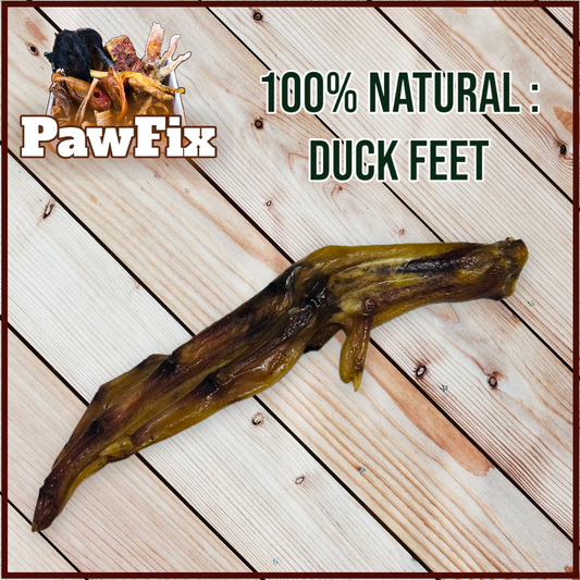 100% Natural Duck Feet