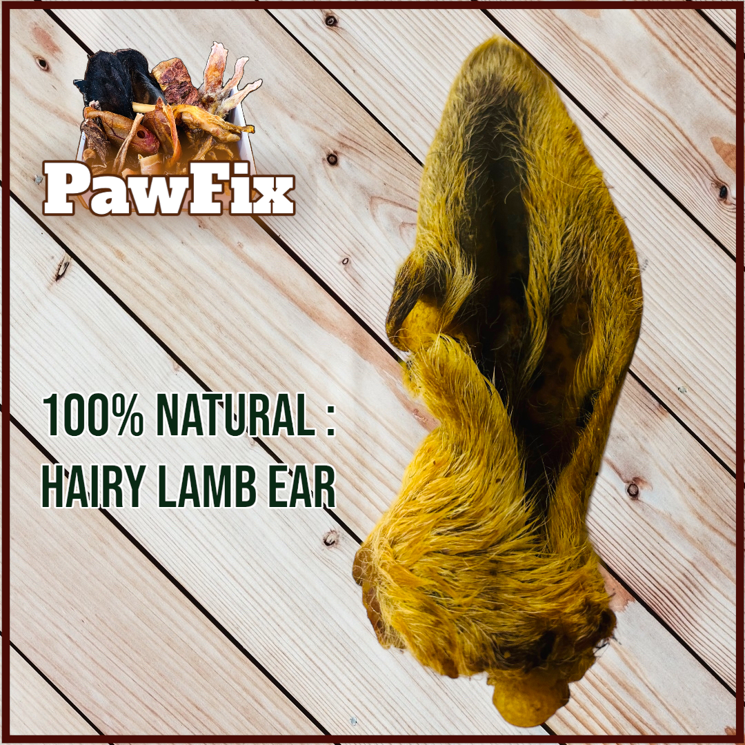 100% Natural Lamb Ear with Fur