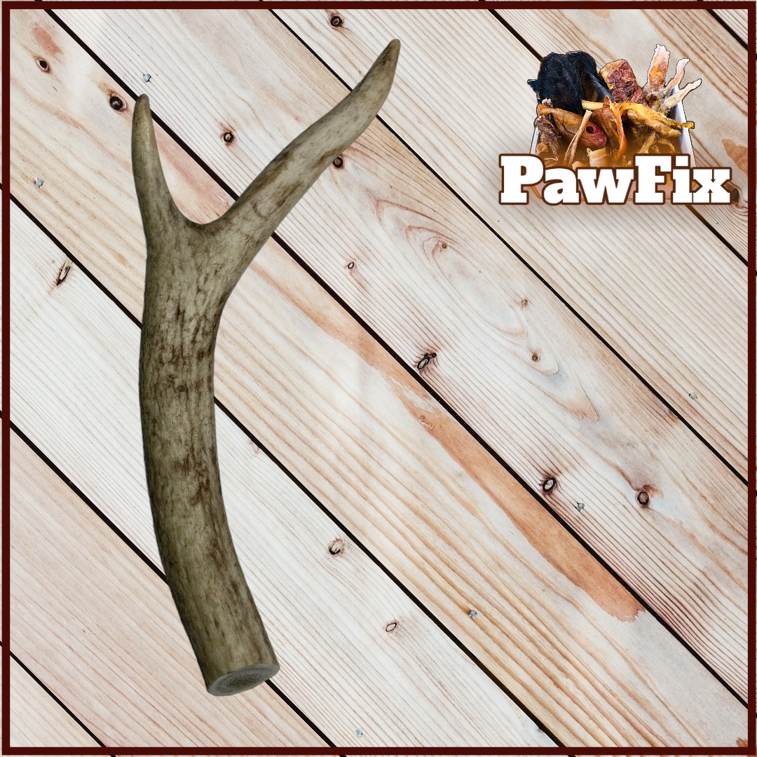 100% Natural Deer Antler Chew